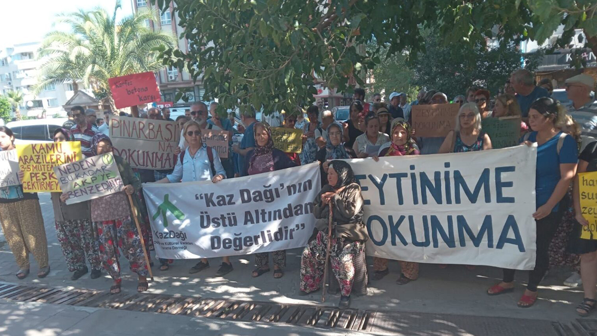 Köylülerin mücadelesi zeytinliklerin satış ihalesini iptal ettirdi - Umut  Gazetesi